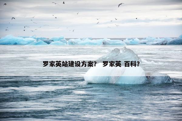 罗家英站建设方案？ 罗家英 百科？-第1张图片-冷动云