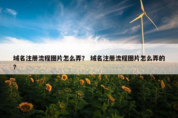 域名注册流程图片怎么弄？ 域名注册流程图片怎么弄的？-第1张图片-冷动云