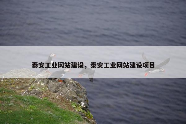 泰安工业网站建设，泰安工业网站建设项目-第1张图片-冷动云