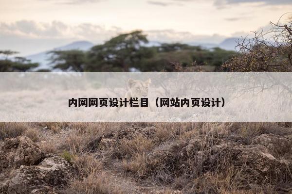 内网网页设计栏目（网站内页设计）-第1张图片-冷动云