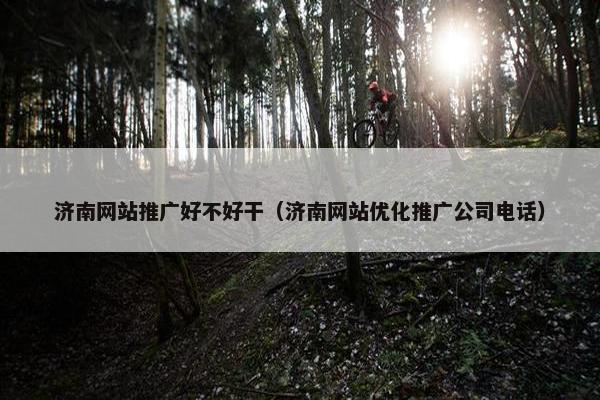 济南网站推广好不好干（济南网站优化推广公司电话）-第1张图片-冷动云