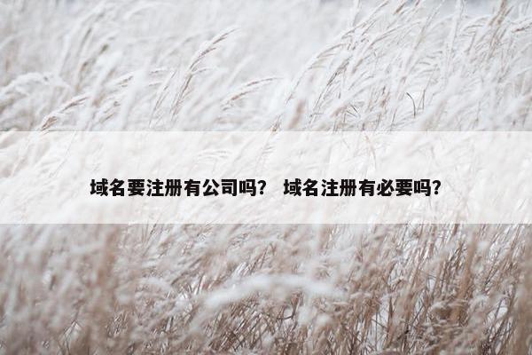 域名要注册有公司吗？ 域名注册有必要吗？-第1张图片-冷动云