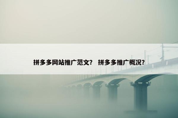 拼多多网站推广范文？ 拼多多推广概况？-第1张图片-冷动云