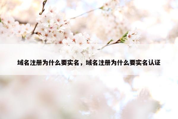 域名注册为什么要实名，域名注册为什么要实名认证-第1张图片-冷动云