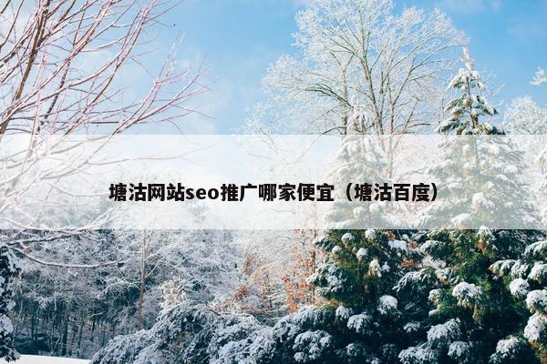 塘沽网站seo推广哪家便宜（塘沽百度）-第1张图片-冷动云