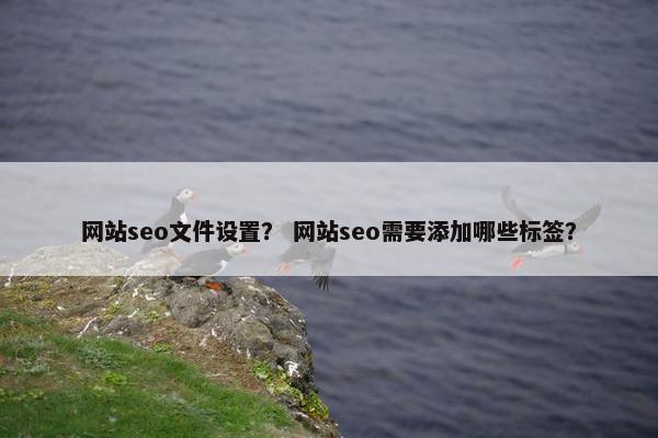 网站seo文件设置？ 网站seo需要添加哪些标签？-第1张图片-冷动云
