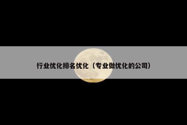 行业优化排名优化（专业做优化的公司）-第1张图片-冷动云