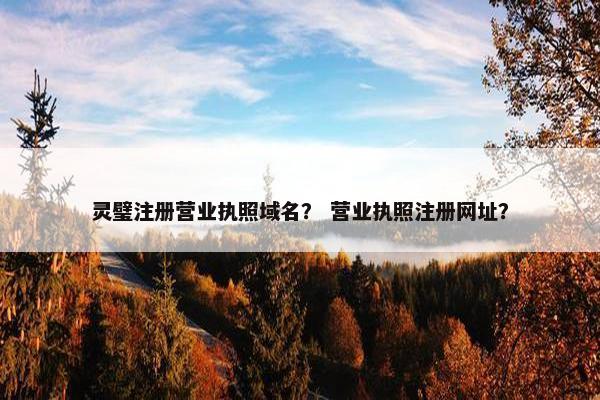 灵璧注册营业执照域名？ 营业执照注册网址？-第1张图片-冷动云