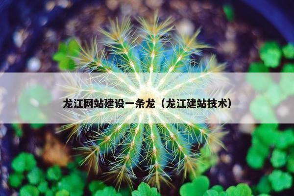 龙江网站建设一条龙（龙江建站技术）-第1张图片-冷动云