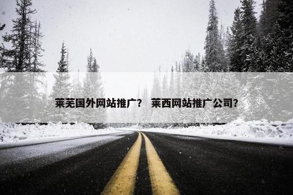莱芜国外网站推广？ 莱西网站推广公司？-第1张图片-冷动云