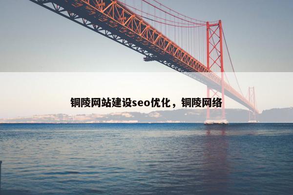 铜陵网站建设seo优化，铜陵网络-第1张图片-冷动云