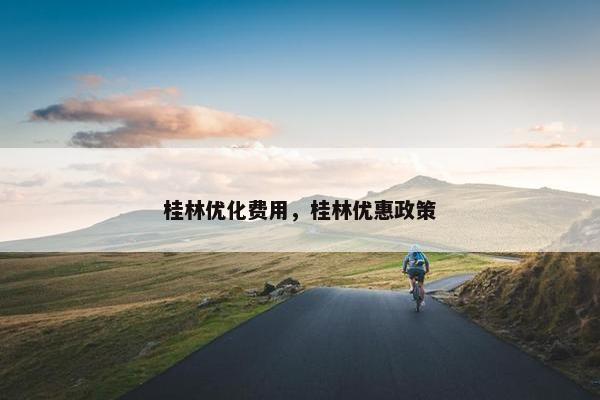 桂林优化费用，桂林优惠政策-第1张图片-冷动云