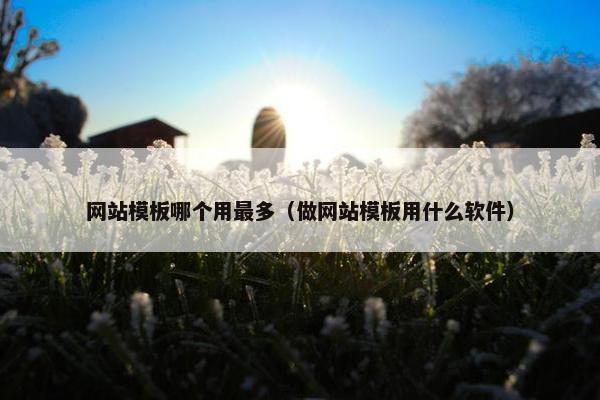网站模板哪个用最多（做网站模板用什么软件）-第1张图片-冷动云