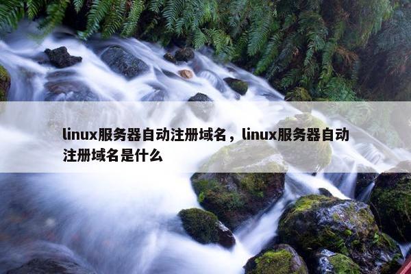 linux服务器自动注册域名，linux服务器自动注册域名是什么-第1张图片-冷动云