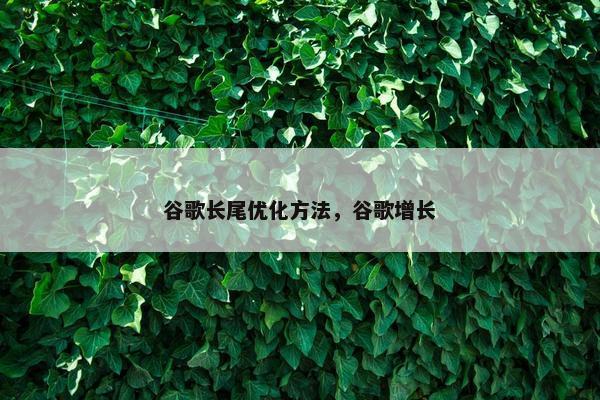 谷歌长尾优化方法，谷歌增长-第1张图片-冷动云
