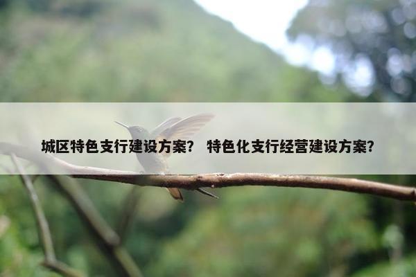 城区特色支行建设方案？ 特色化支行经营建设方案？-第1张图片-冷动云
