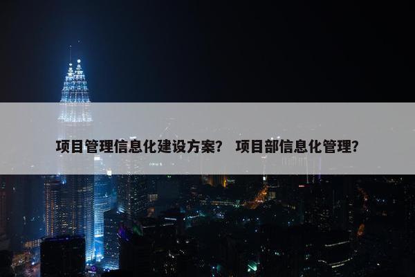 项目管理信息化建设方案？ 项目部信息化管理？-第1张图片-冷动云