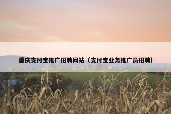 重庆支付宝推广招聘网站（支付宝业务推广员招聘）-第1张图片-冷动云