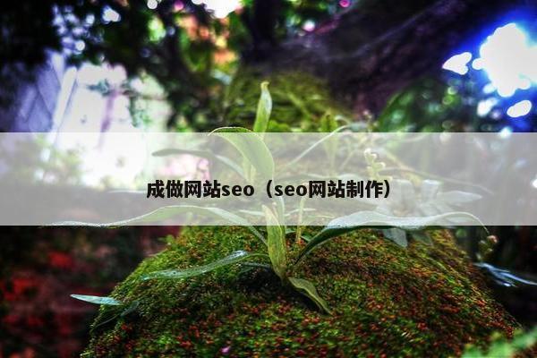 成做网站seo（seo网站制作）-第1张图片-冷动云