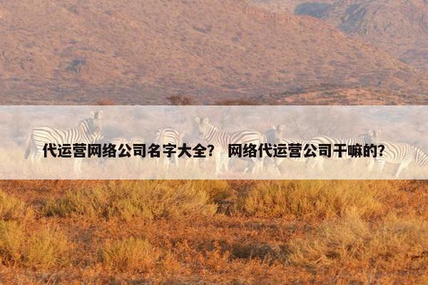 代运营网络公司名字大全？ 网络代运营公司干嘛的？-第1张图片-冷动云