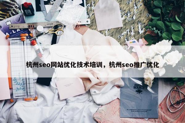 杭州seo网站优化技术培训，杭州seo推广优化-第1张图片-冷动云
