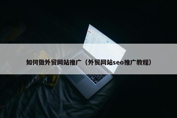如何做外贸网站推广（外贸网站seo推广教程）-第1张图片-冷动云