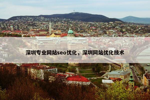 深圳专业网站seo优化，深圳网站优化技术-第1张图片-冷动云
