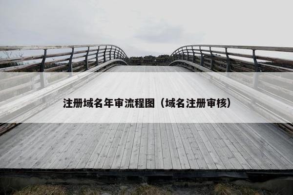 注册域名年审流程图（域名注册审核）-第1张图片-冷动云