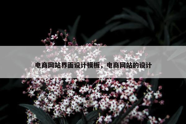电商网站界面设计模板，电商网站的设计-第1张图片-冷动云