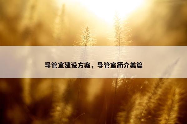 导管室建设方案，导管室简介美篇-第1张图片-冷动云