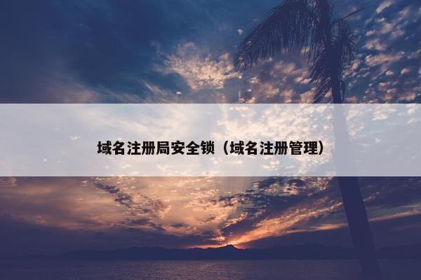 域名注册局安全锁（域名注册管理）-第1张图片-冷动云
