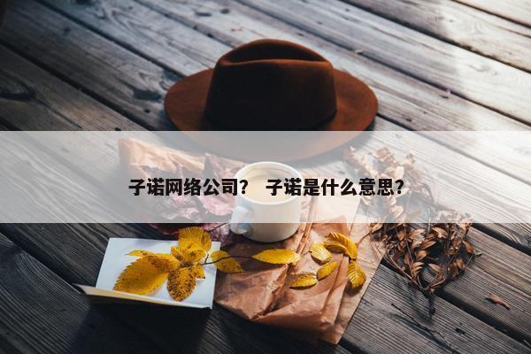 子诺网络公司？ 子诺是什么意思？-第1张图片-冷动云