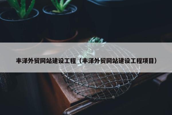 丰泽外贸网站建设工程（丰泽外贸网站建设工程项目）-第1张图片-冷动云