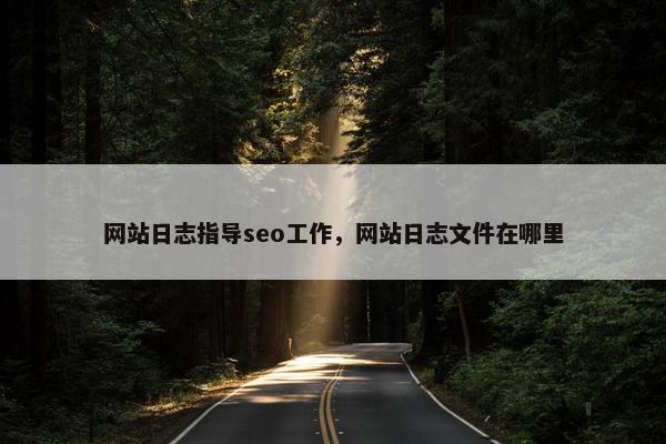 网站日志指导seo工作，网站日志文件在哪里-第1张图片-冷动云
