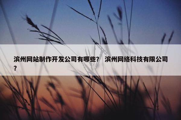 滨州网站制作开发公司有哪些？ 滨州网络科技有限公司？-第1张图片-冷动云