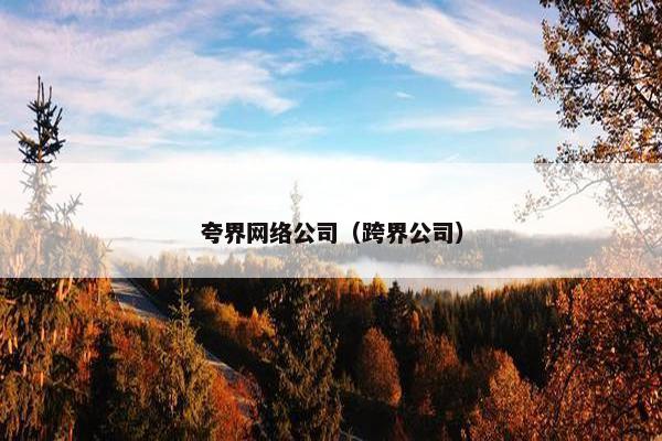 夸界网络公司（跨界公司）-第1张图片-冷动云