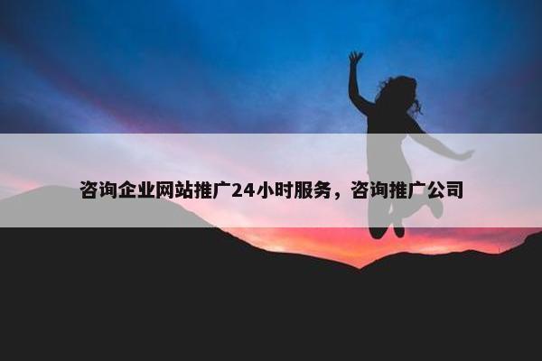 咨询企业网站推广24小时服务，咨询推广公司-第1张图片-冷动云