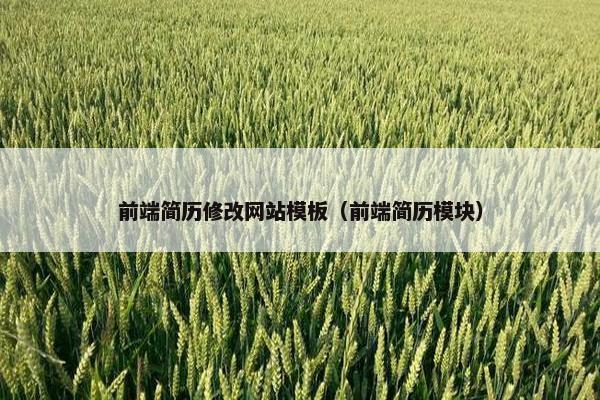 前端简历修改网站模板（前端简历模块）-第1张图片-冷动云