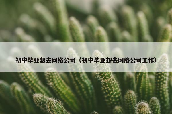 初中毕业想去网络公司（初中毕业想去网络公司工作）-第1张图片-冷动云