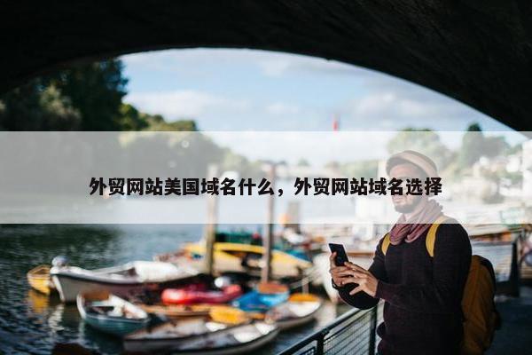 外贸网站美国域名什么，外贸网站域名选择-第1张图片-冷动云
