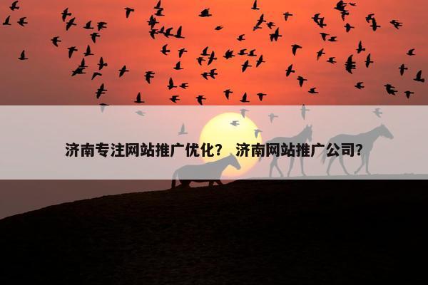 济南专注网站推广优化？ 济南网站推广公司？-第1张图片-冷动云