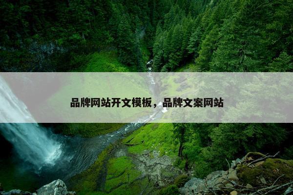 品牌网站开文模板，品牌文案网站-第1张图片-冷动云
