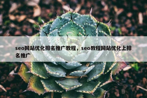 seo网站优化排名推广教程，seo教程网站优化上排名推广-第1张图片-冷动云