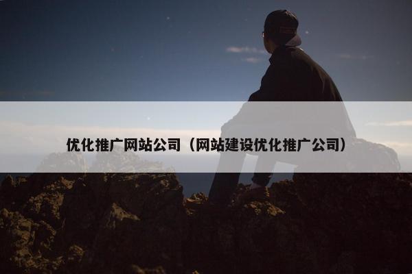 优化推广网站公司（网站建设优化推广公司）-第1张图片-冷动云