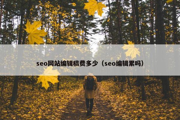 seo网站编辑稿费多少（seo编辑累吗）-第1张图片-冷动云