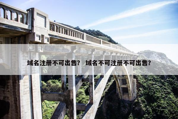 域名注册不可出售？ 域名不可注册不可出售？-第1张图片-冷动云