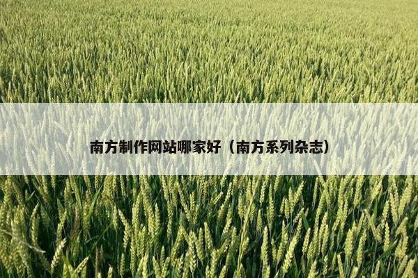 南方制作网站哪家好（南方系列杂志）-第1张图片-冷动云