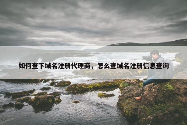 如何查下域名注册代理商，怎么查域名注册信息查询-第1张图片-冷动云