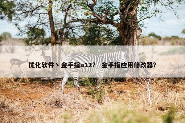 优化软件丶金手指a12？ 金手指应用修改器？-第1张图片-冷动云