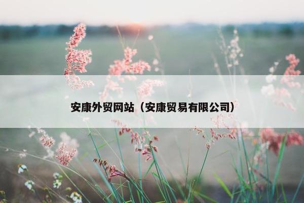 安康外贸网站（安康贸易有限公司）-第1张图片-冷动云
